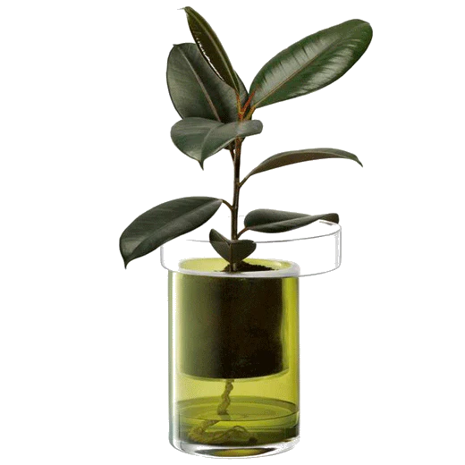 LSA International Balcony Self Watering Planter H27cm Olive - Image 2