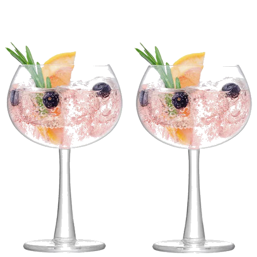 LSA International Signature Gin 2 x Balloon Glasses