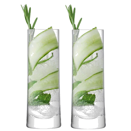 LSA International Signature Gin 2 x Highball Glasses