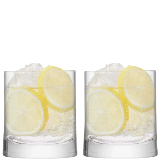 LSA International Signature Gin 2 x Tumblers