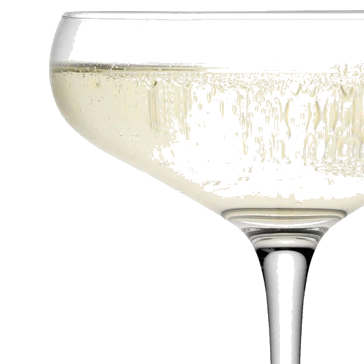 LSA International Signature Wine 4 x Champagne Saucers - Image 2