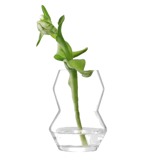 LSA International Small Sculpt Glass Vase 16 cm