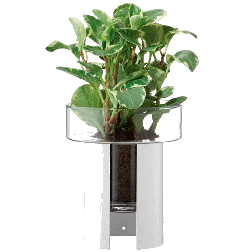 LSA International Terrazza Chalk White Planter 22cm - Image 2