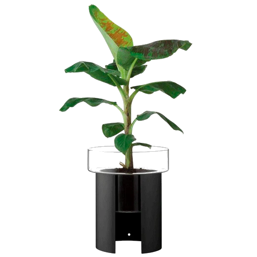 LSA International Terrazza Planter 45cm in Jet Black - Image 2
