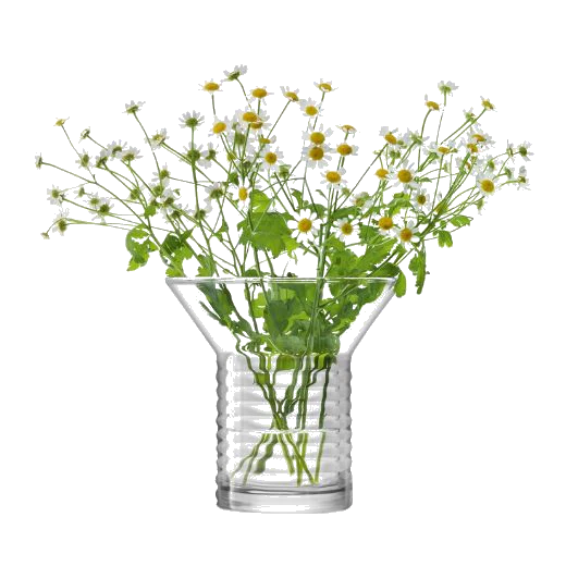 LSA International Union Ribbed Cylinder Glass Vase 13.5 cm