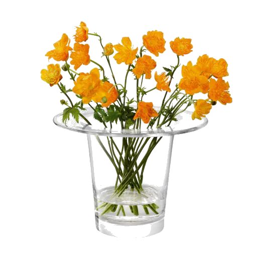 LSA International Victoria Clear Glass Lantern Vase 19 cm - Image 2