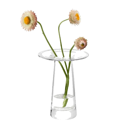 LSA International Victoria Clear Glass Vase 15 cm