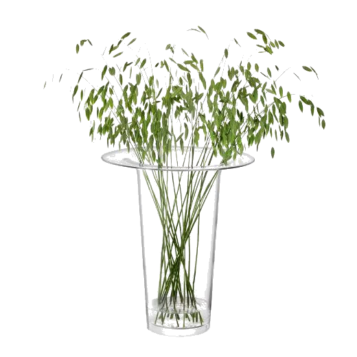 LSA International Victoria Clear Glass Vase Lantern 45 cm