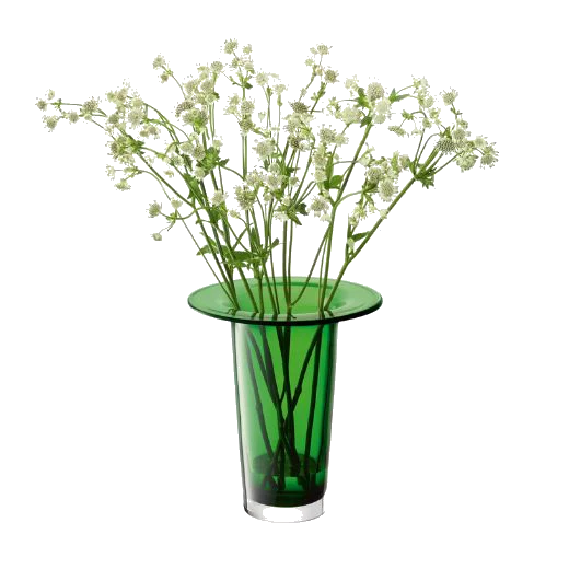 LSA International Victoria Fern Green Glass Vase Lantern 26 cm