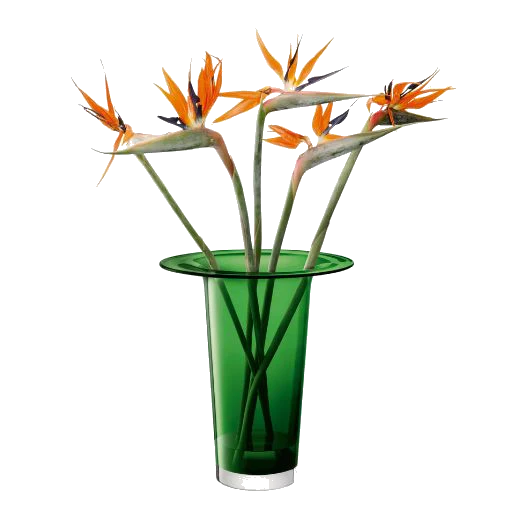 LSA International Victoria Fern Green Glass Vase Lantern 45 cm