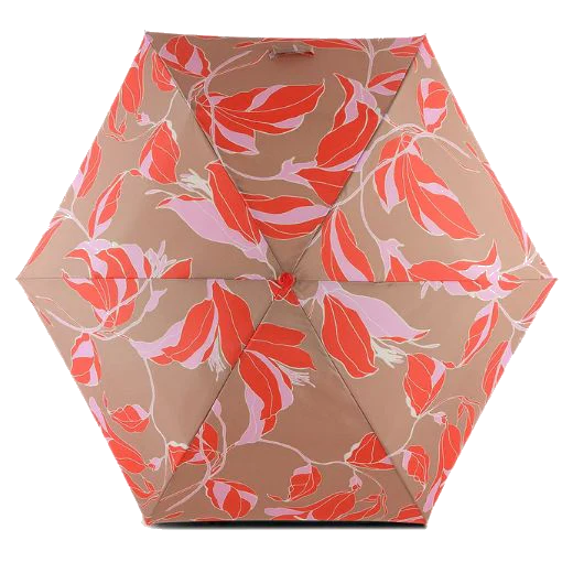 Radley Silt Floral Black & Green Compact Umbrella