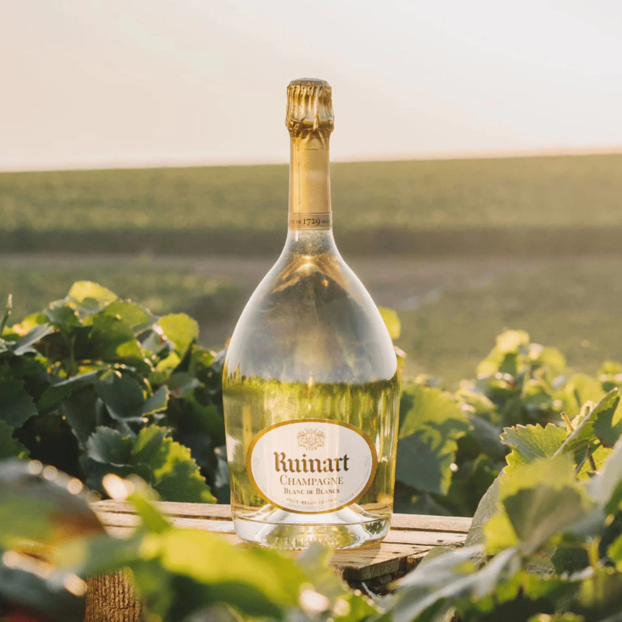 Ruinart Blanc de Blancs Champagne 75cl - Image 2