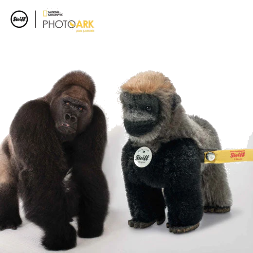 Steiff National Geographic Boogie the Mini Gorilla - Image 2