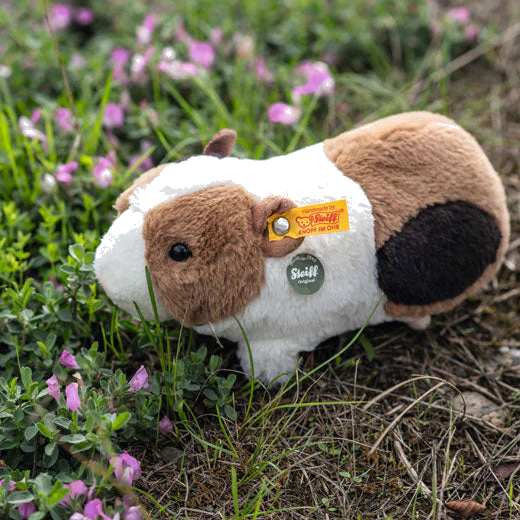 Steiff Teddies for Tomorrow Dalle the Guinea Pig - Image 2